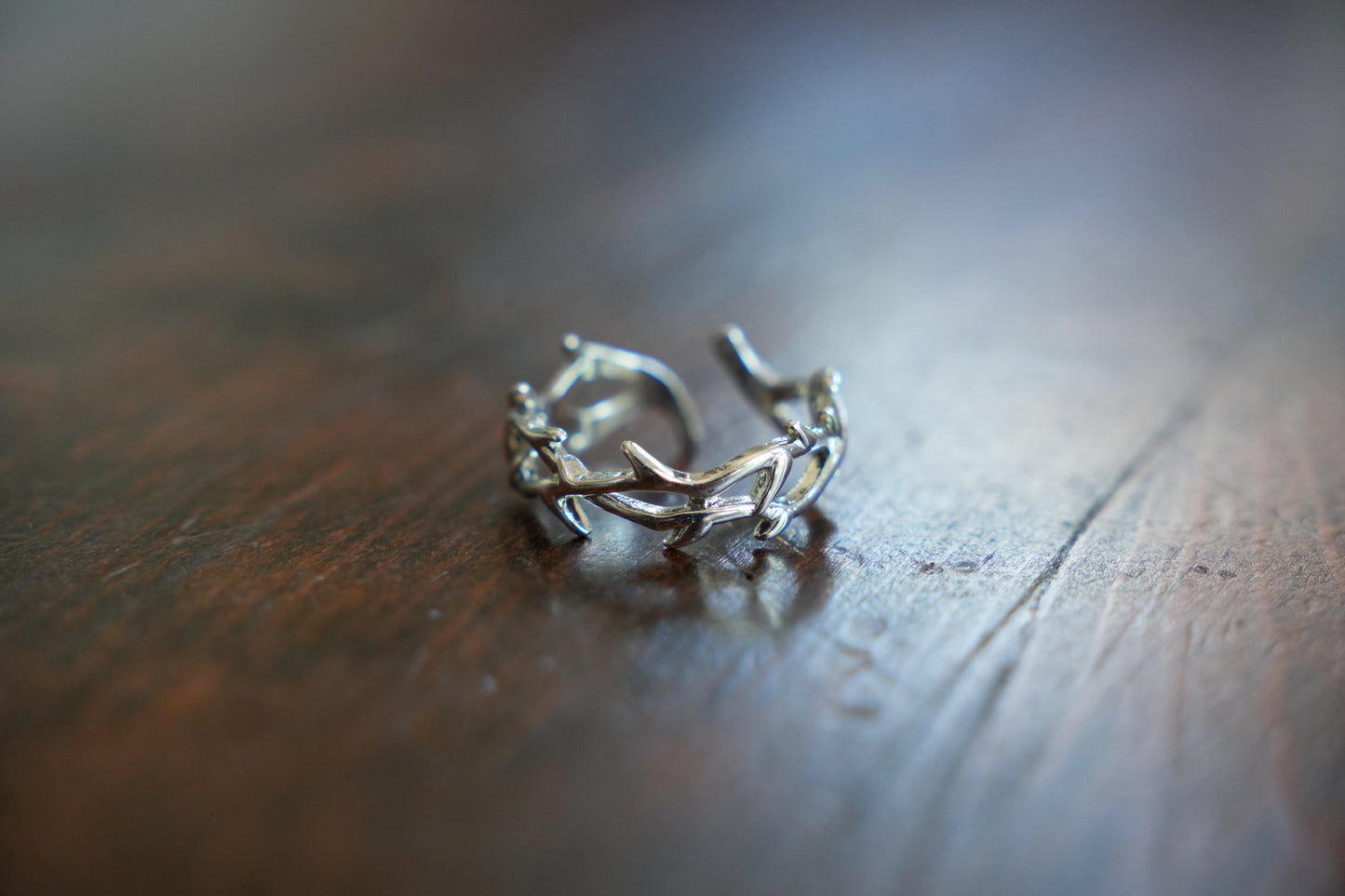 Viking-Style Ring & Thorn Ring Bundle